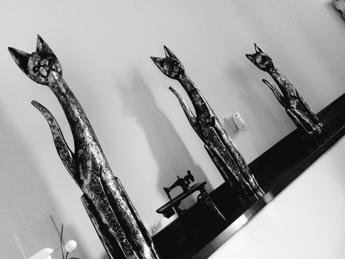 Padrón Casa O Coboヴィラ エクステリア 写真